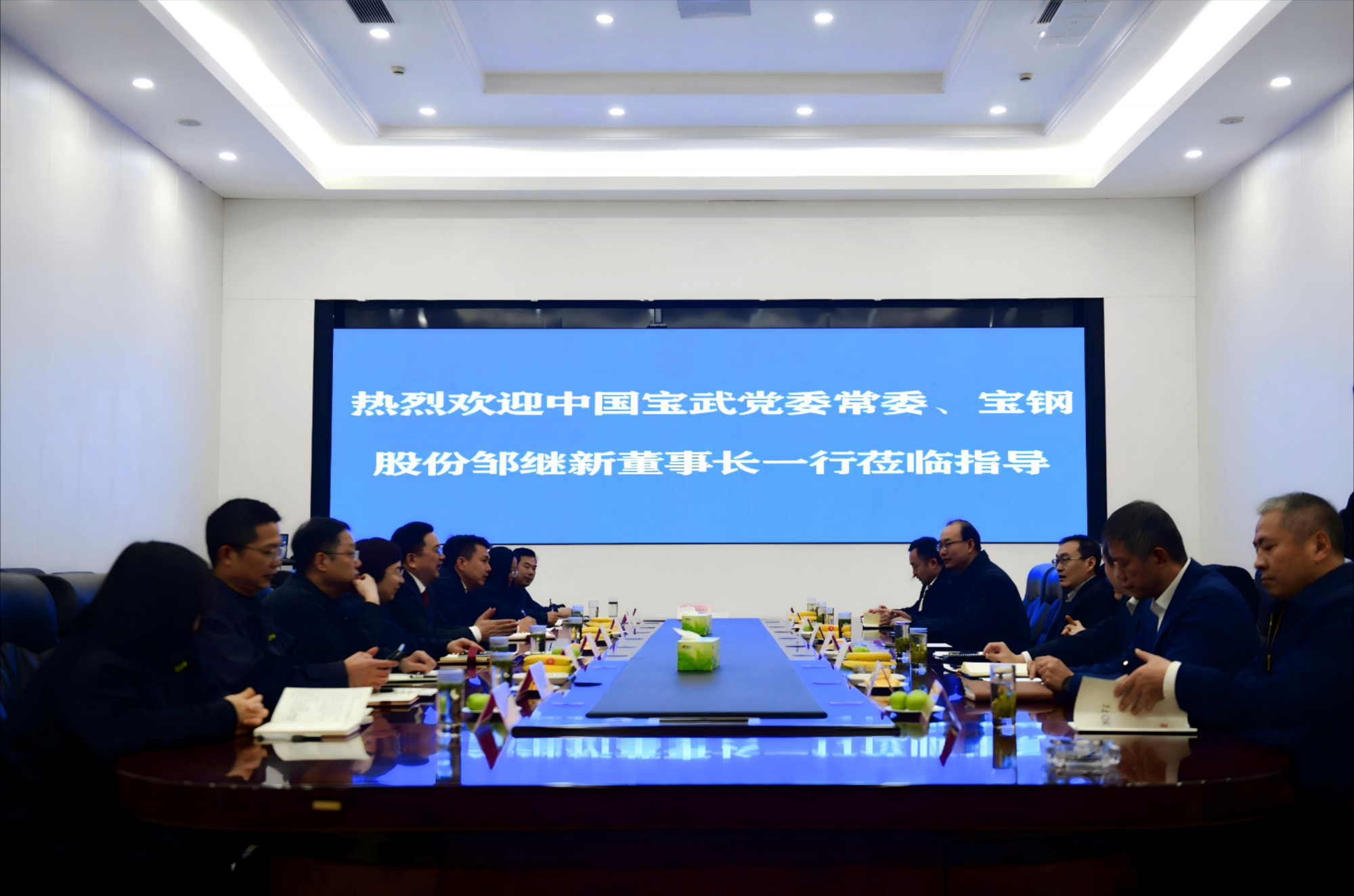 中國寶武集團高層訪問吳變，共謀合作新篇章